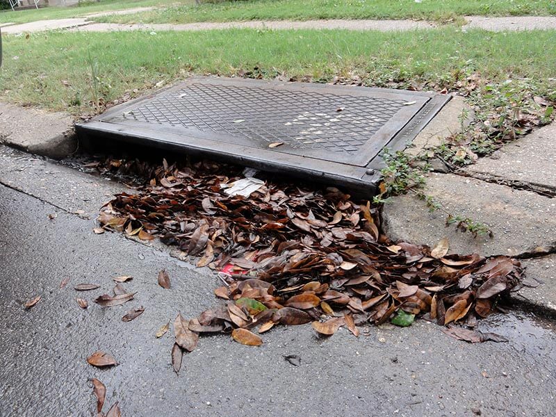 A clogged catch basin filled with debris and standing water