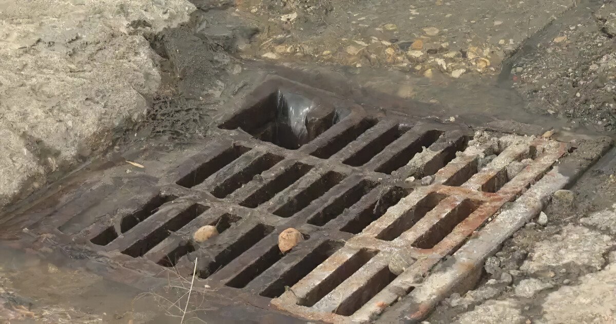 Different types of debris that clog catch basins